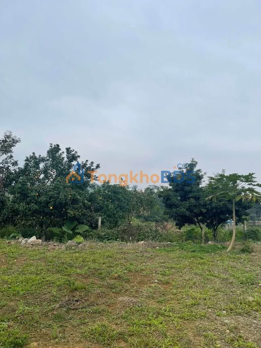 Đất Nền 1000m² View Hồ Phú Cát - Quốc Oai, Giá Tốt