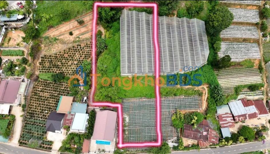 Đất Mặt Tiền Đa Phú Đà Lạt 2748m² - Giá Tốt Đầu Tư/Nghỉ Dưỡng