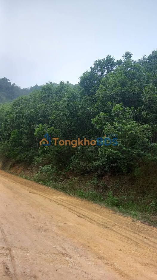 Đất vườn Đú Sáng Kim Bôi 10ha giá 2 tỷ - Sinh thái xanh