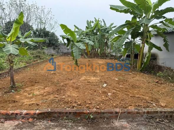 Đất thổ cư 116m² Việt Yên, Bắc Giang - Giá đầu tư 1.7 tỷ, ô tô đỗ cửa