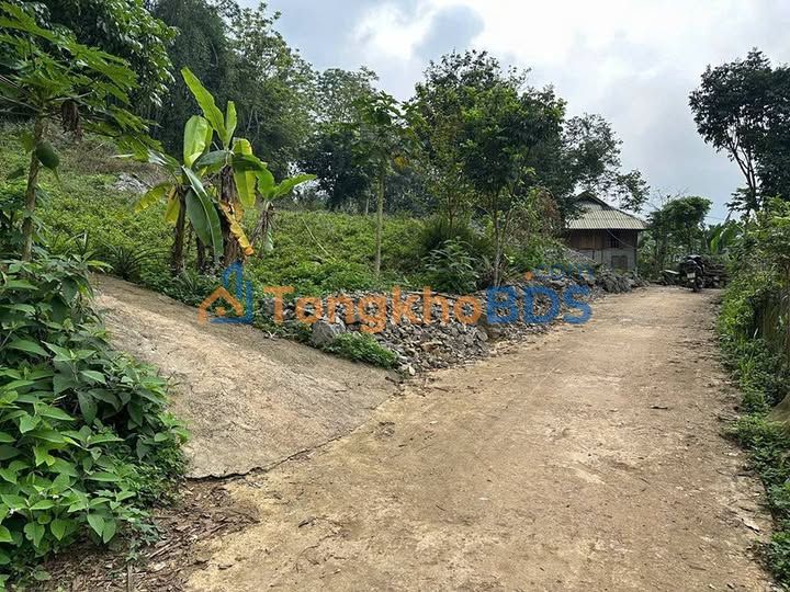 Đất nền Trung Hòa 1020m² 600 triệu - Tiềm năng tăng giá