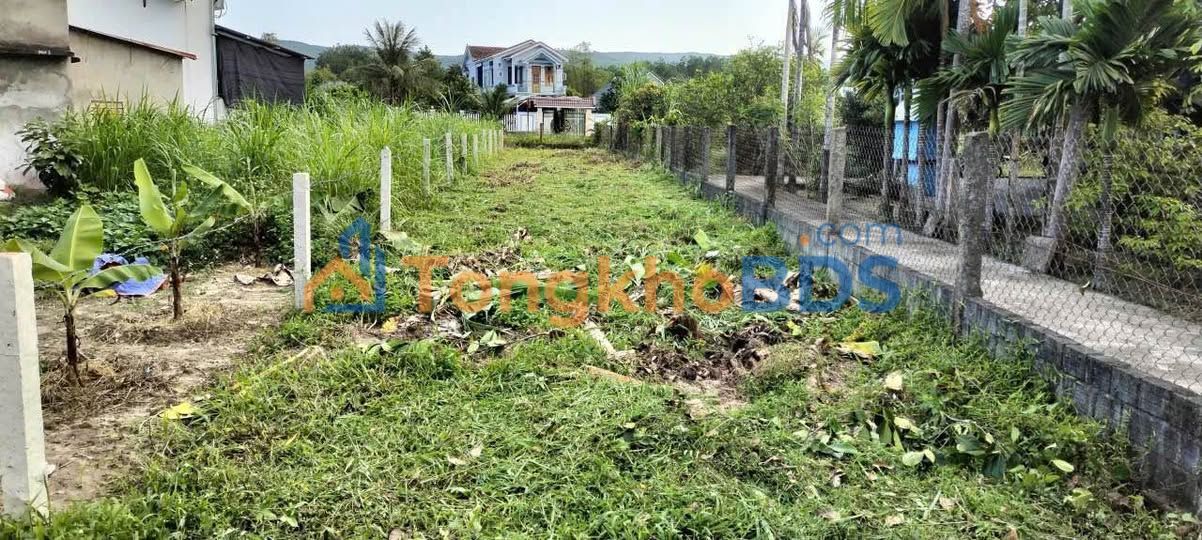 Bán đất vườn nghỉ dưỡng Đà Nẵng 239m² - Sổ hồng sẵn, giá tốt