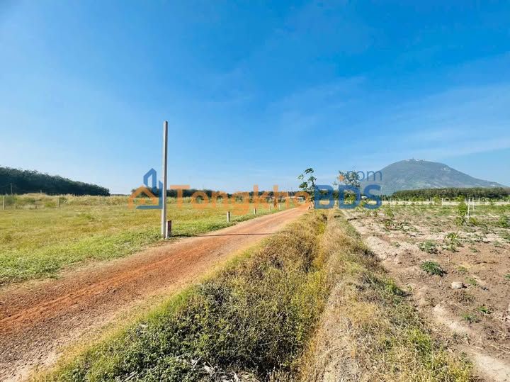 Đất nền Ninh Thạnh, Tây Ninh - 140m² Sổ sẵn, Giá 315 Triệu/Lô