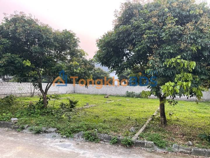 Đất nền Cao Dương Lương Sơn 196m² - Sổ đỏ chính chủ