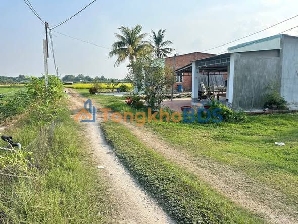 Đất Nền Bến Cầu 150m² - Giá 145 Triệu, Sổ Đỏ Sẵn Sàng