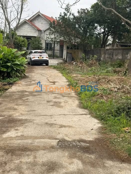 Đất nền An Ninh Bình Lục 133m² 600 triệu - Đường to ô tô