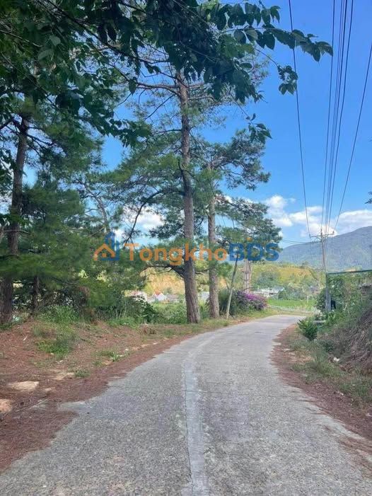 Đất vườn D'Ran 1.967m² 1,55 tỷ - Sổ đỏ chính chủ