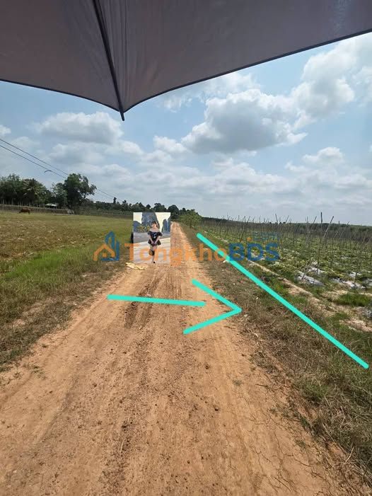 Bán 2 công đất Ninh Điền, Tây Ninh - Giá tốt đầu tư lâu dài