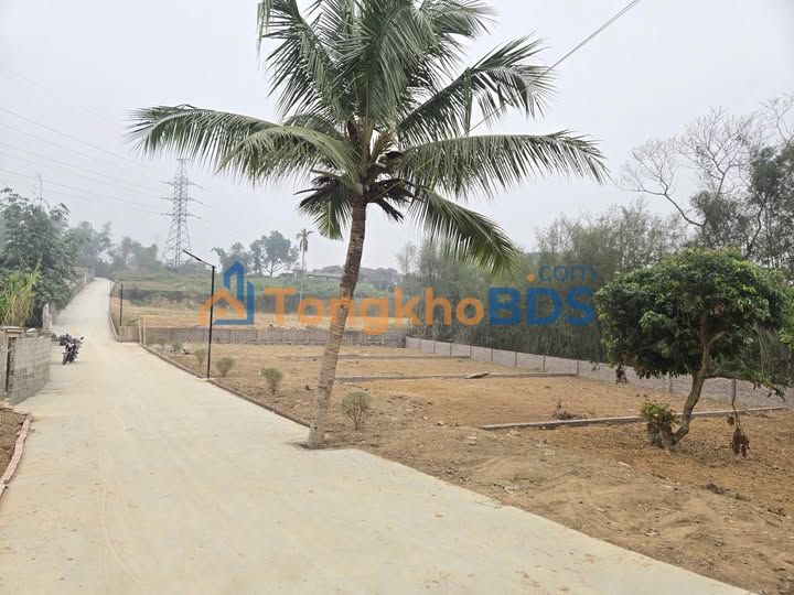 Bán Đất Lương Sơn, Hòa Bình 250m² - Sổ Đỏ Rõ Ràng, Giá Từ 1.9 Tỷ