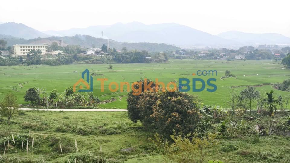 Bán Đất Vườn 2800m² Mặt Đường Liên Xã Lương Sơn, Hòa Bình - Giá Đầu Tư 5.6 Tỷ