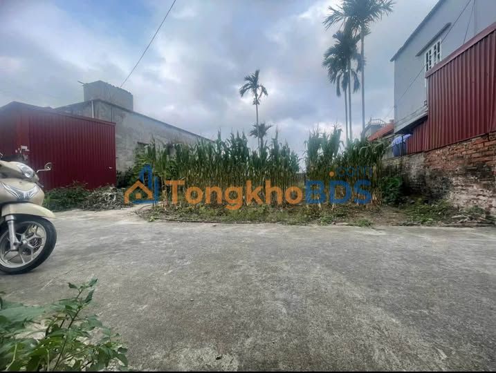 Đất nền Thái Thịnh, Thái Thụy 91.5m² - Sổ hồng thổ cư, giá chỉ từ 5xx triệu