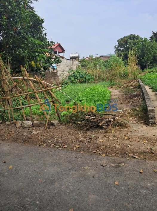 Đất thổ cư 166m² Bình Lục, Hà Nam - Sổ đỏ sẵn, ô tô đỗ cửa
