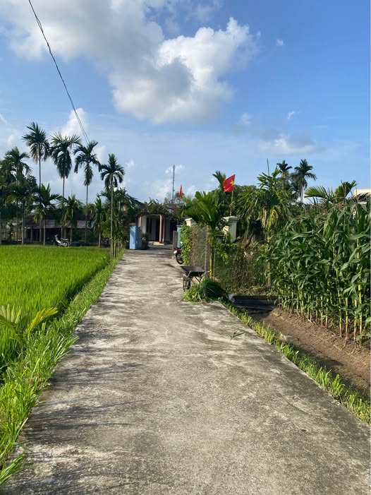 Bán Đất Nền Thọ Phong 151m² - Gần Chợ, KCN VSIP, Giá Chỉ Từ 3xx Triệu