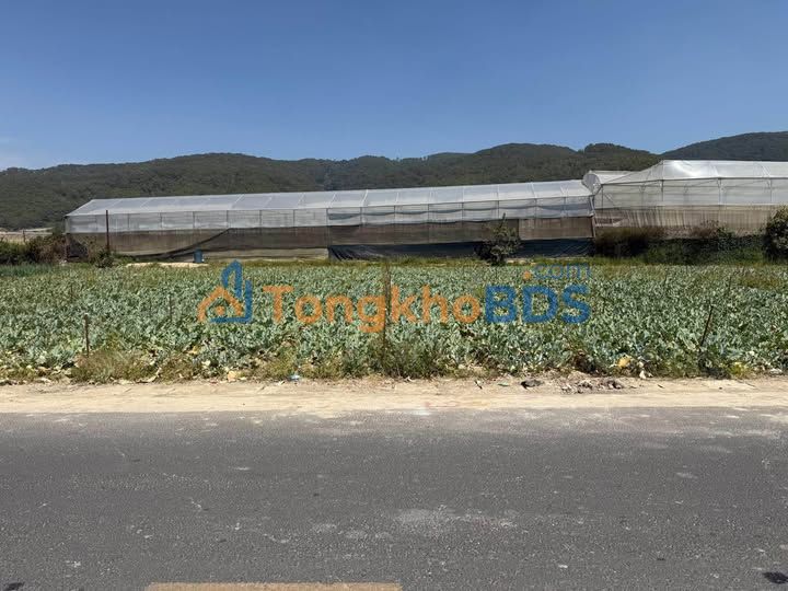 Đất nền Thạnh Mỹ Đơn Dương 140m² 1,72 tỷ - Sổ đỏ chính chủ