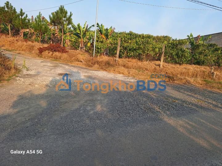 Đất nền Hòa Bắc Di Linh 1.800m² 2.75 tỷ - Đầu tư dài hạn