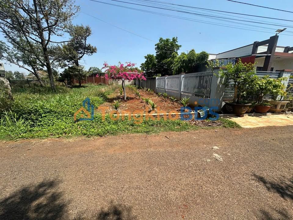 Đất Mặt Tiền Đường L, BMT - 140m² Thổ Cư, Giá 2.95 Tỷ