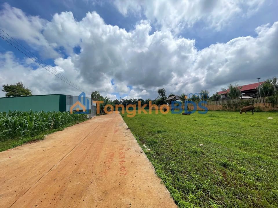 Đất thổ cư 118m² Phú Lâm, Tuy Hòa - Sổ hồng sẵn, giá 1.09 tỷ