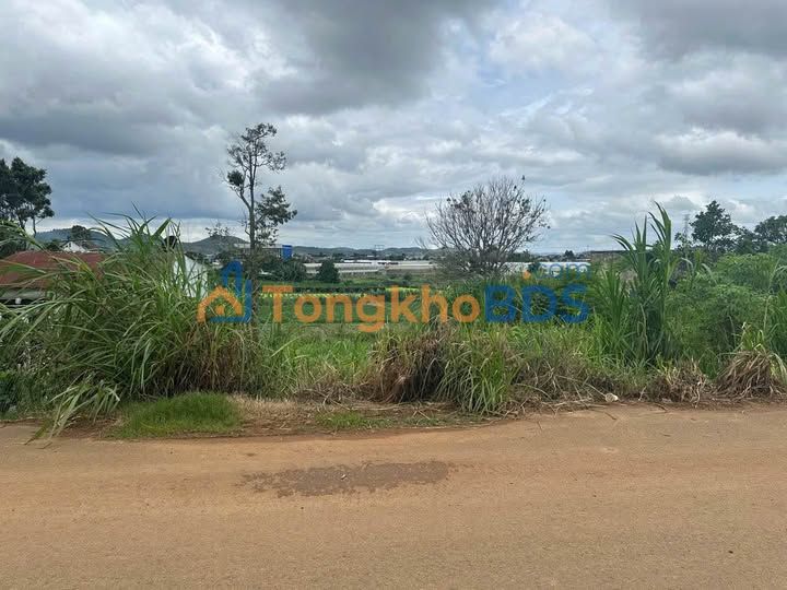 Bán Đất Đức Trọng 190m² Sổ Thổ Cư - Giá 1.2 Tỷ - Sẵn Sàng Xây Dựng