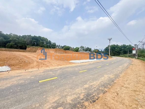 Đất Nền Thổ Cư 100m² Mặt Đường Trải Nhựa, Lâm Thao - Giá Đầu Tư F0 Chỉ 1 Tỷ
