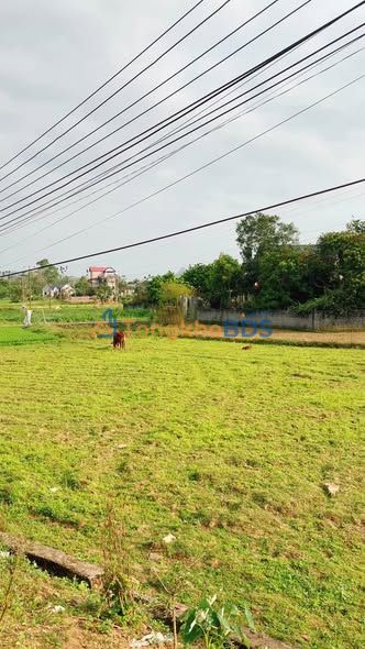 Bán Đất 882m² Thổ Cư Kim Bôi, Hòa Bình - View Đồng Thơm Mát