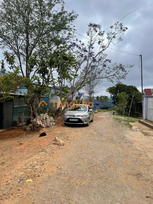 Đất 500m² 2 Mặt Tiền Đường Nhựa Darrahoa, Lạc Dương - Giá Đầu Tư 2.2 Tỷ