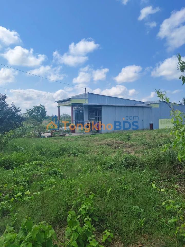 Đất Thổ Cư Lý Văn Lâm, Cà Mau - 230m² Giá Mềm, Sẵn Sàng Xây Dựng