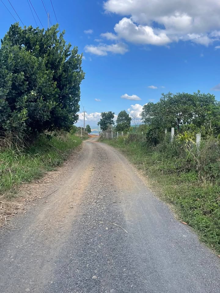 Bán đất Đắk Nông 10800m² Sổ hồng chính chủ - Giá chỉ 599 triệu