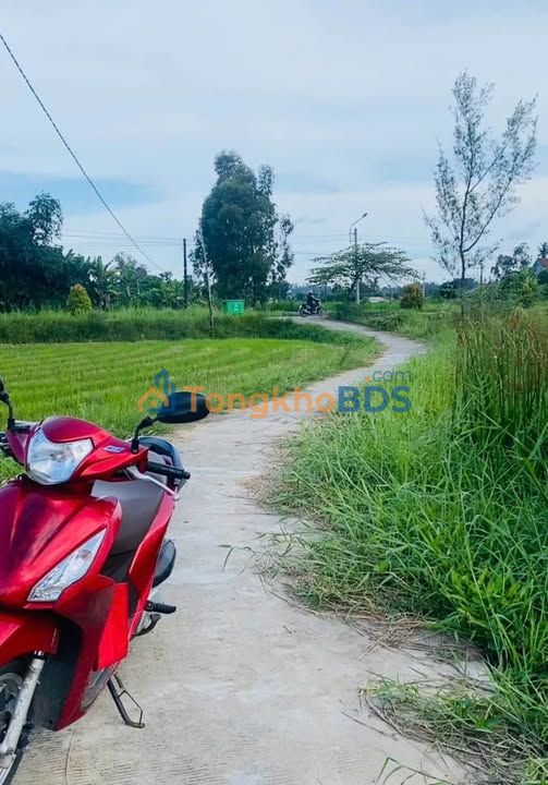 Đất nền Tịnh Khê 329m² giá chỉ 1xx triệu - Đầu tư sinh lời