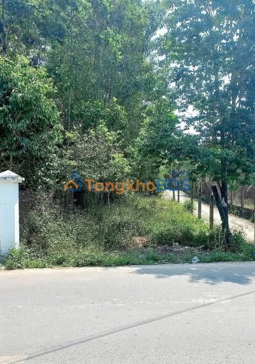 Đất Lô Góc Mặt Tiền Đường Hamya, Nghĩa Hành - 130m² Giá Tốt