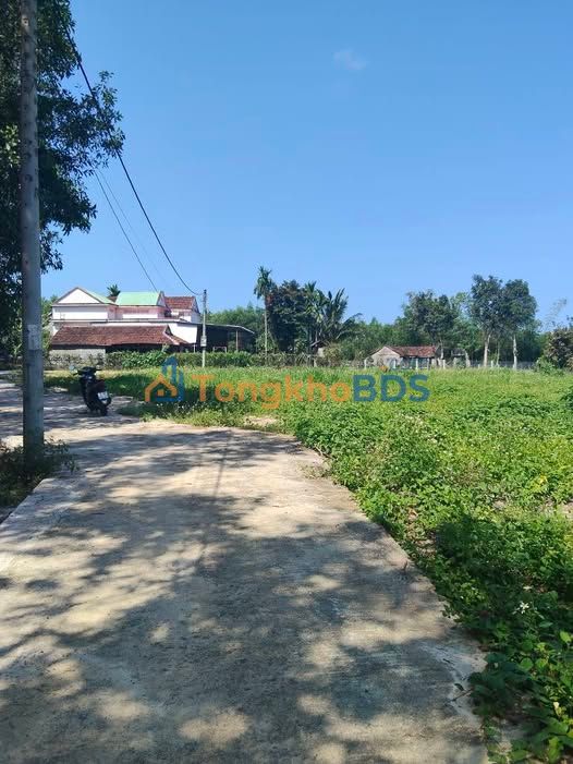 Đất Nền Sơn Tịnh, Quảng Ngãi – Hơn 200 Triệu/Lô – Sổ Đỏ Rõ Ràng