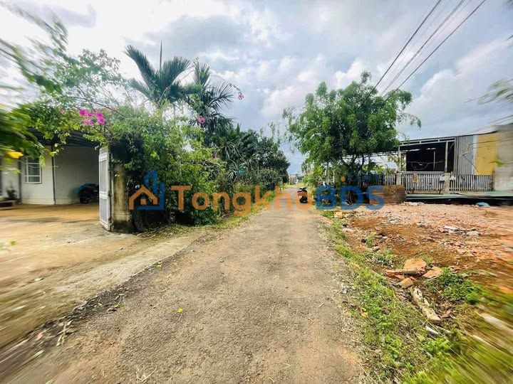 Đất Nền Sùng Đức, Gia Nghĩa - 294m² Giá Hơn 500 Triệu, Đất Ở Ngay