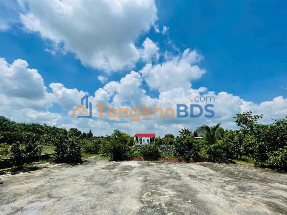 Nhà Vườn Củ Chi 1000m² - View Kênh, Sổ Hồng Riêng - Giá 3.8 Tỷ