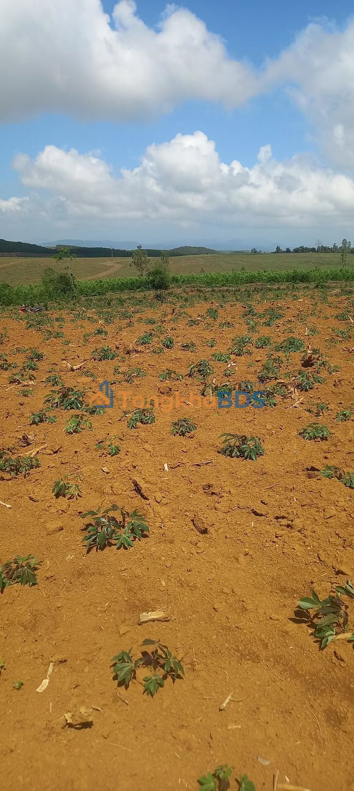 Đất nền Vân Hòa, Phú Yên 4200m² - Sổ đỏ sẵn, khí hậu mát mẻ