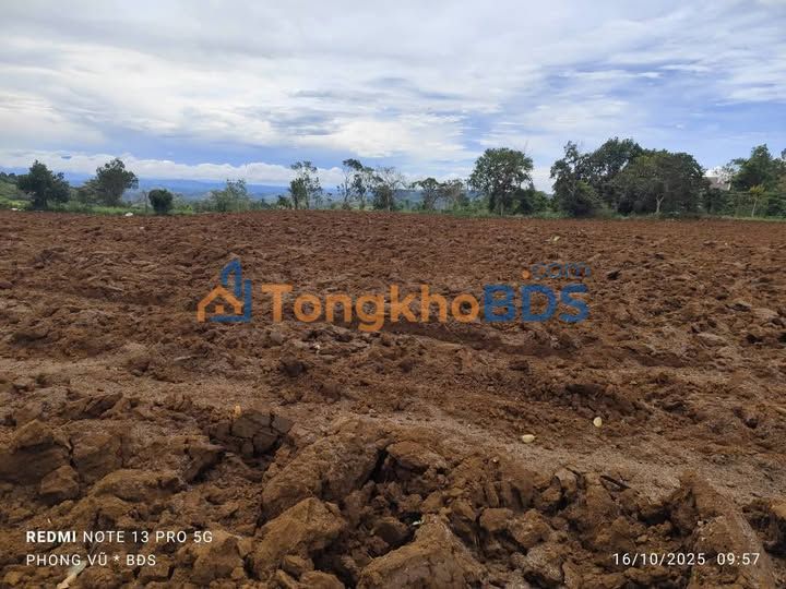 Đất Nền Đăk Nông 21.600m² Sổ Hồng 2 Mặt Tiền - Giá Tốt 980 Triệu