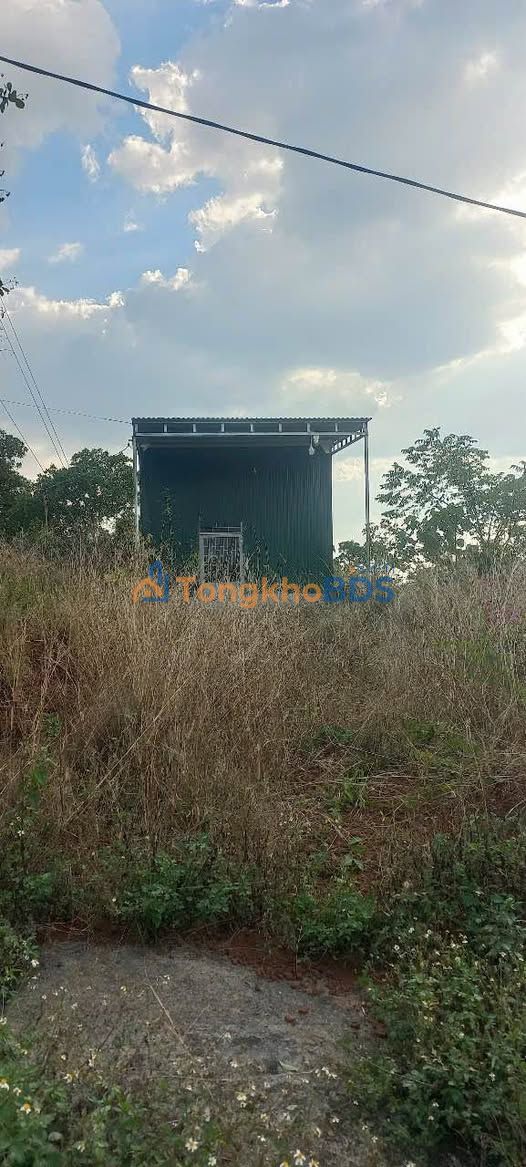 Bán Đất Tặng Nhà 252m² Mặt Đường Bê Tông Nghĩa Phú, Gia Nghĩa - 550 Triệu