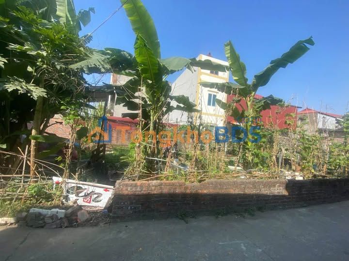 Bán Đất Lương Tân, Yên Phong, Bắc Ninh 71m² - Gần KCN, Ô tô Tránh