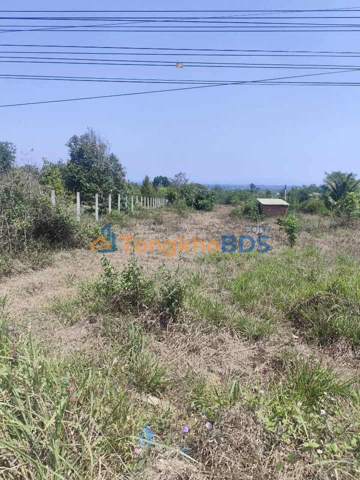 Đất Nền Ea Kar 1000m² - Sổ Đỏ Chính Chủ, Giá 800 Triệu Đầu Tư Sinh Lời