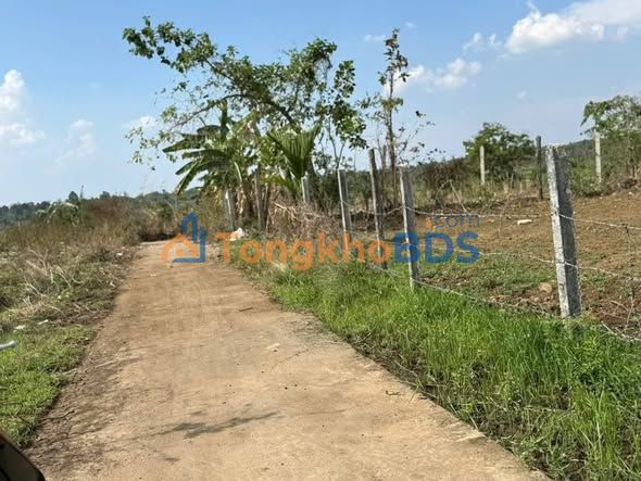 Bán Đất Vườn 500m² Mặt Đường Oto Buôn Ma Thuột - Giá 350 Triệu