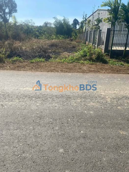 FrontHouse Tỉnh lộ 10 Buôn Hồ 280m² 1,68 tỷ - Mặt tiền kinh doanh