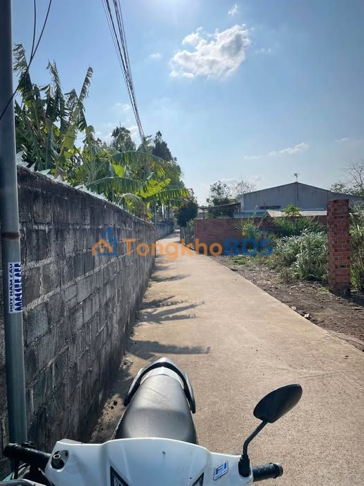 Đất nền Hòa Phú Cư M'gar 252m² 800tr - Sổ đỏ chính chủ