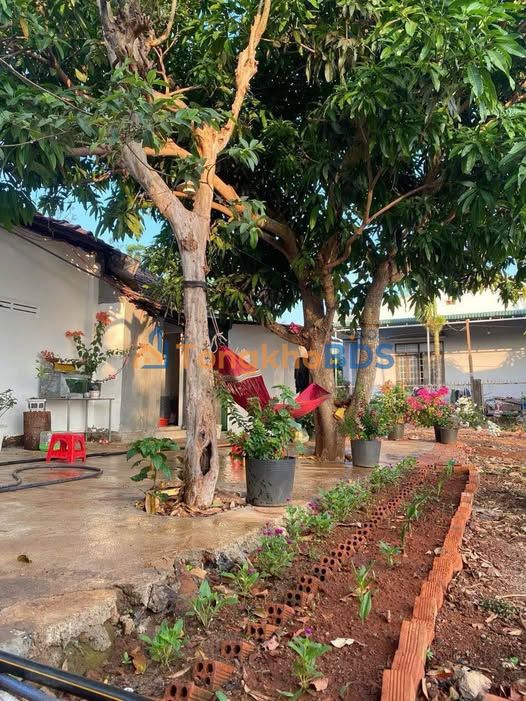 Đất Thành Công Buôn Ma Thuột 500m² 2.19 tỷ - Sổ đỏ chính chủ