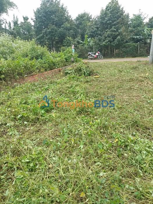 Đất nền KA5 Tân An 100m² giá 1.799 tỷ - Sổ đỏ chính chủ