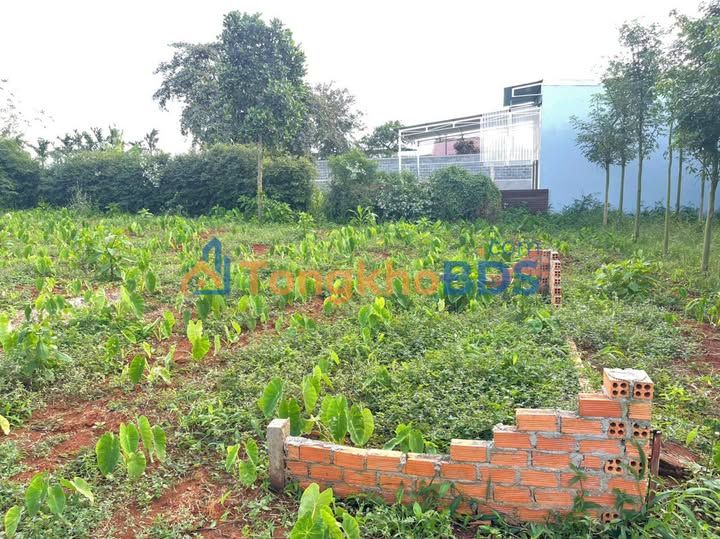 Đất TC Full 109m² Hẻm Nguyễn Đình Chiểu - Sổ Hồng Sẵn Sàng