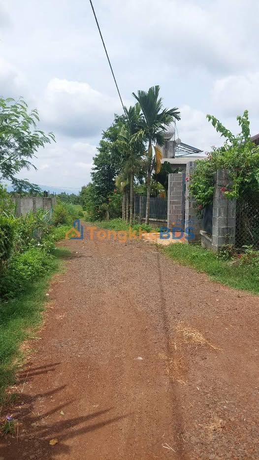 Đất Vườn Đắk Lắk 2880m² Giá 310 Triệu - Gần Chợ, Sổ Đỏ Sẵn Sàng