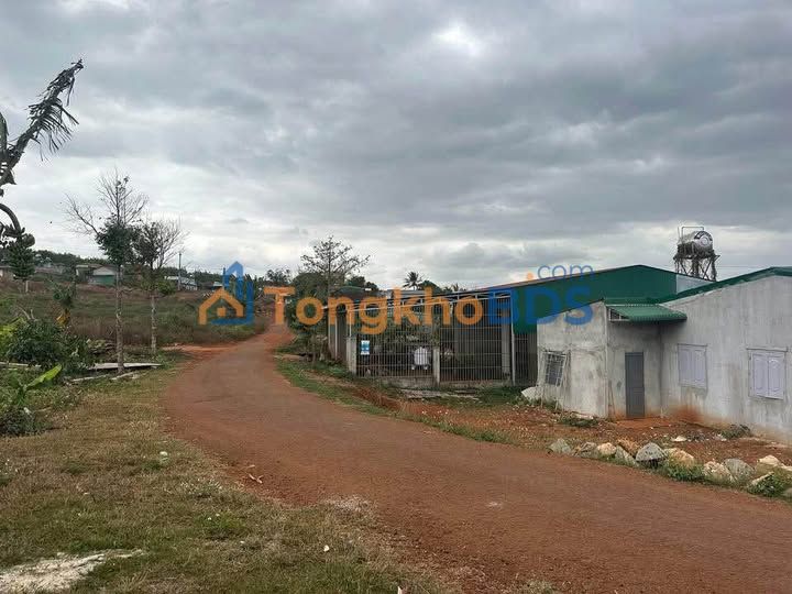 Đất Thổ Cư 160m² Buôn Lê, Đắk Lắk - Giá Đầu Tư 650 Triệu/Lô