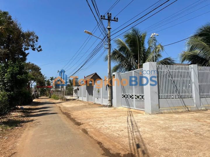 Đất Mặt Tiền KD Phường Tân An, BMT - 50m² Giá 789 Triệu