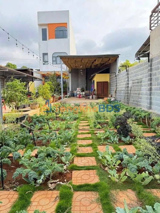 Mặt Tiền Phan Bội Châu, Buôn Ma Thuột - Đất Dài 50m, Kinh Doanh Đa Ngành