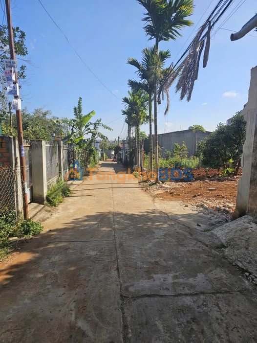 Đất Hẻm Ô Tô 105m² Tân Lập, BMT - Sổ Hồng Riêng, Giá 2.69 Tỷ