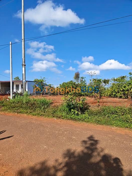 Bán Đất Cư Né Krông Búk 1000m² - Sẵn Sàng Đầu Tư Lô Kép