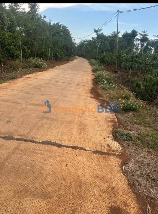 Đất 2 Mặt Tiền Ea Kao, Buôn Ma Thuột - 4972m² Sổ Hồng, Thu Nhập Ổn Định